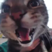 Мясник нацист