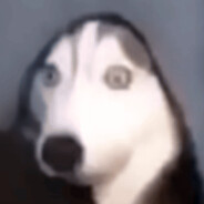 cnmnmsl