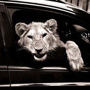 ꧁༒nurdaulet™꧂.