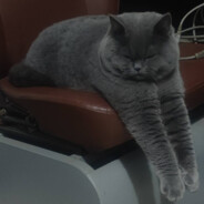 我知道你很急但先别急