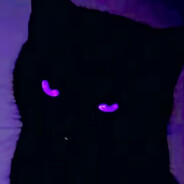 skillissueceo avatar