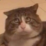 傻逼策划天天更新