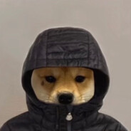 PMA PLAYER (FULL FOCUS)