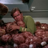 Tribbles