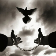 СИБИРСКИЙ ДЕВСТВЕННИК