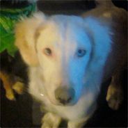 Gonno - steam id 76561197971045494