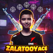ZALATOOYace - steam id 76561199864728790