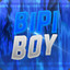 BiPiBoy YT