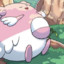 blissey420