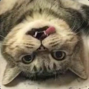 我 黑虎阿福 乌鸦坐飞机机