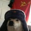 Perro_Comunista