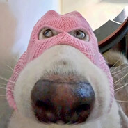 **看密客无人机**直布罗陀仙贝洗澡