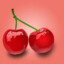樱桃芝士