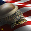 The Murican Turtle