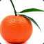 Orangtic