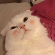 さよならの今日に