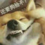 想一起去钓海