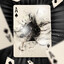 Ace