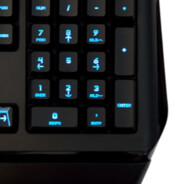 RunForest123