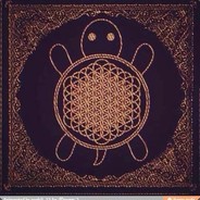 Sandpit Turtle