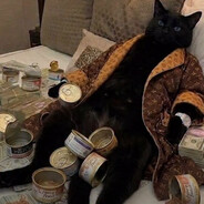 The cat that runs the block
