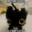 ДУРАЦКИЙ КОТ