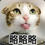 MU吉米