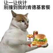 H抓住一只小小p