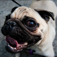 Мне по....й Я МОПС