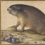 A Marmot with a Branch of Plums