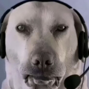 大狗嚼俱乐部布鲁斯1号