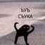 MENS_KastorЫЧ