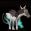 Raffe