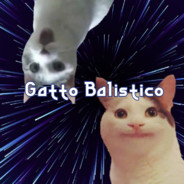 GATTO BALISTICO's Avatar