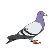 Big Avatar