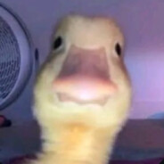 spookii