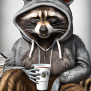 Raccoon McBandit