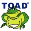 FunkyToad