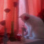 Nyvexa's avatar