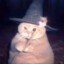 WitchCat