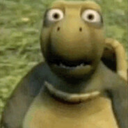 TheMrTurtle