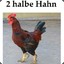 halbeHahn