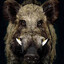 drooling feral hog