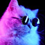 Dr. Meow