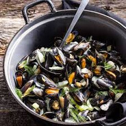 mossel in sap