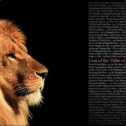 岁没喝过星巴克