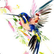 Hummingbird