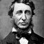 Thoreau L.M.