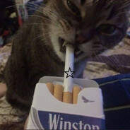 Не пойман - не whore