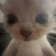 我会进行一些简单的对